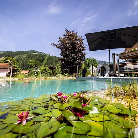 Appartamento Rustika Wagrain