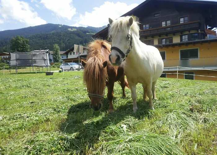 Rustika Apartament Wagrain